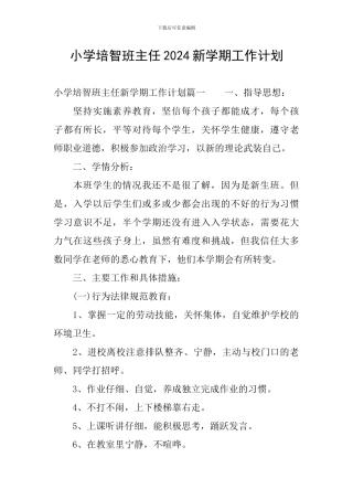 小学培智班主任2024新学期工作计划