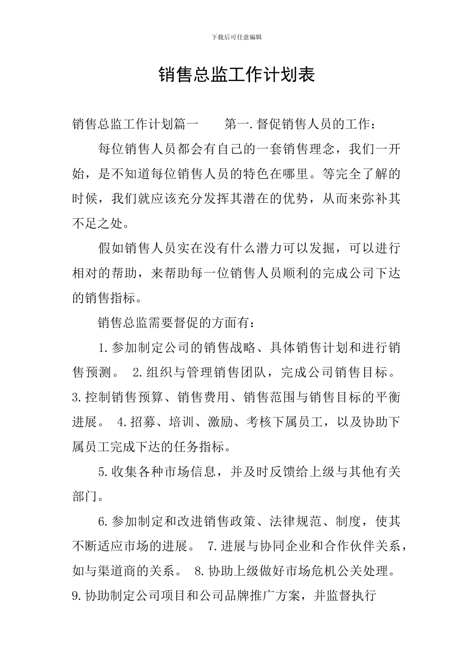 销售总监工作计划表_第1页