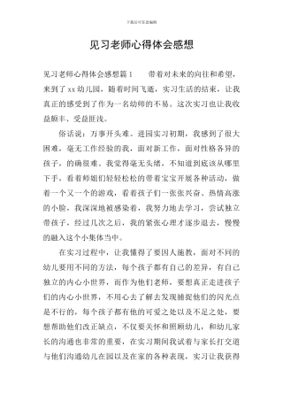 见习老师心得体会感想