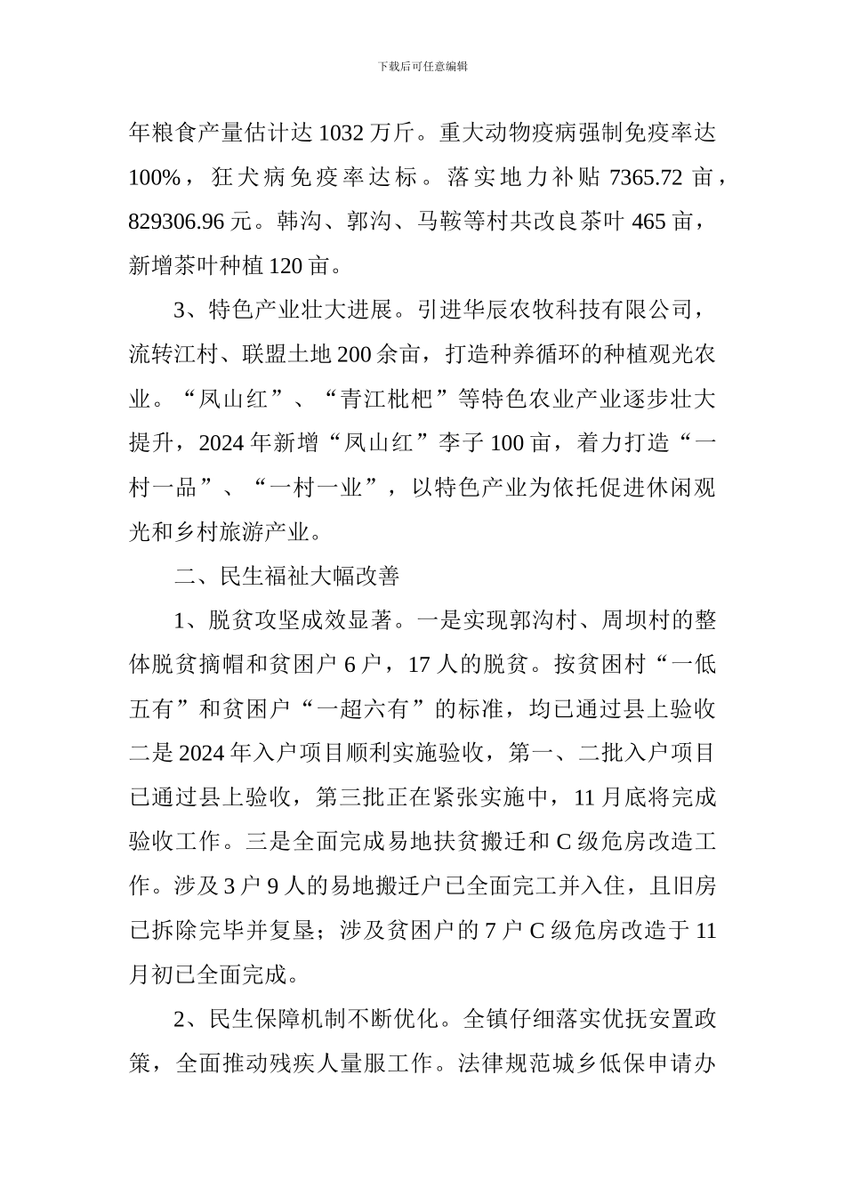 人民政府2024年工作总结和2024年工作打算_第2页