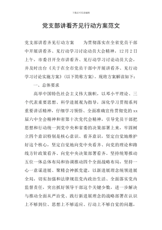 党支部讲看齐见行动方案范文