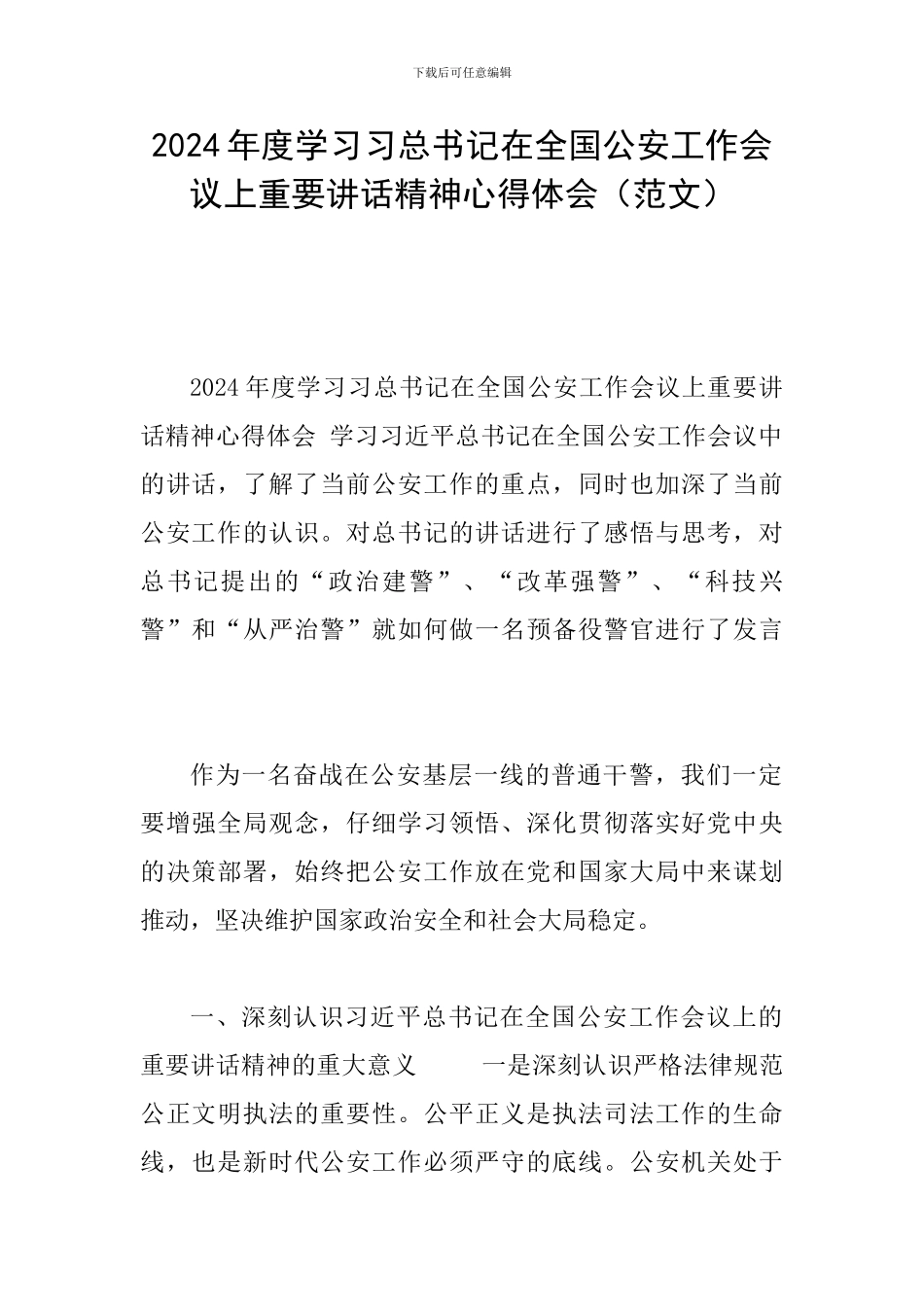 2024年度学习习总书记在全国公安工作会议上重要讲话精神心得体会_第1页