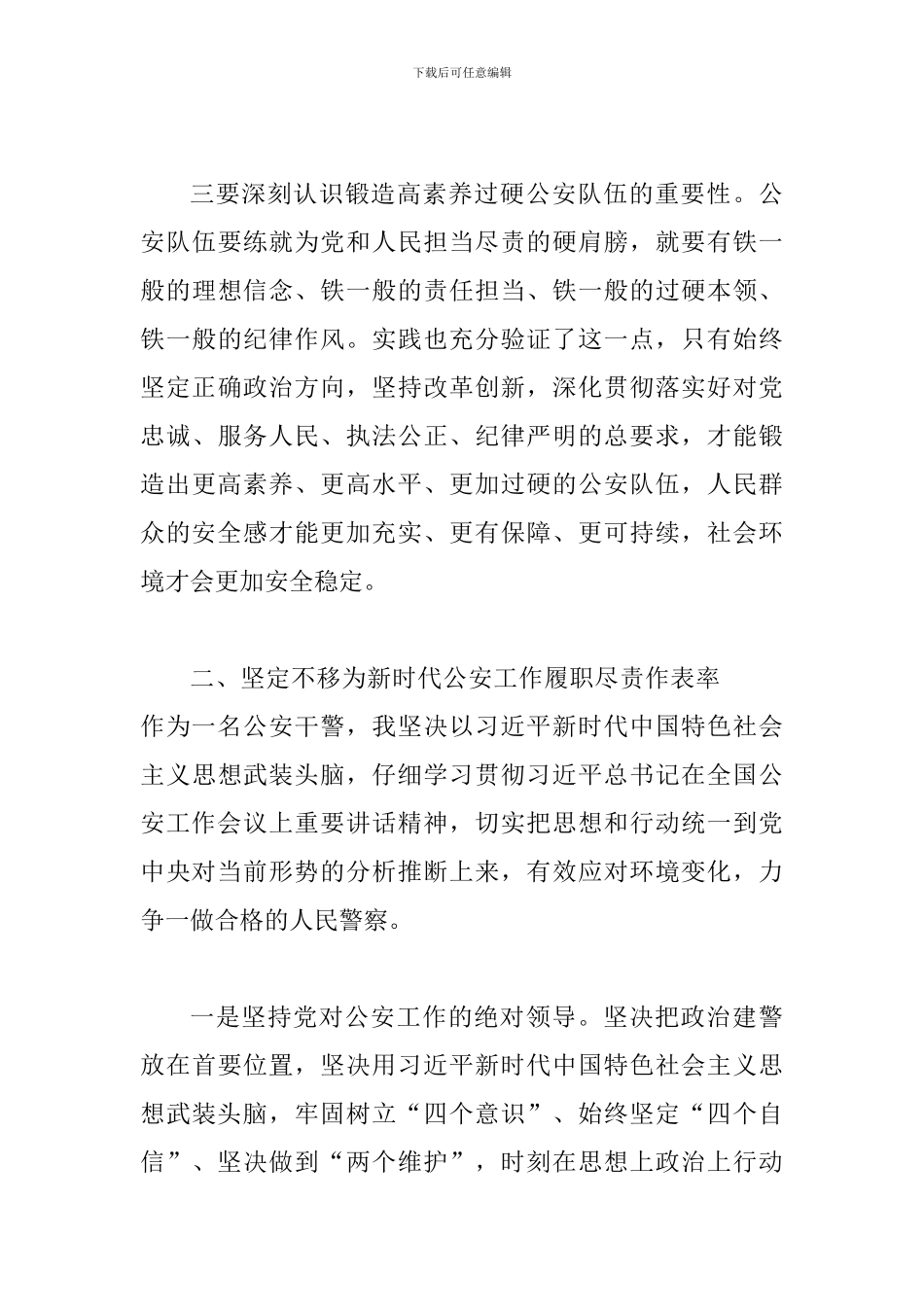 2024年度学习习总书记在全国公安工作会议上重要讲话精神心得体会_第3页