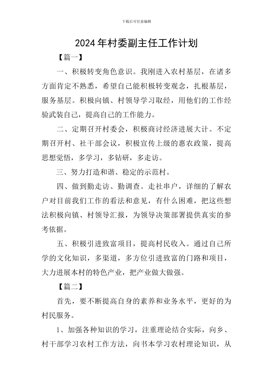 2024年村委副主任工作计划_第1页