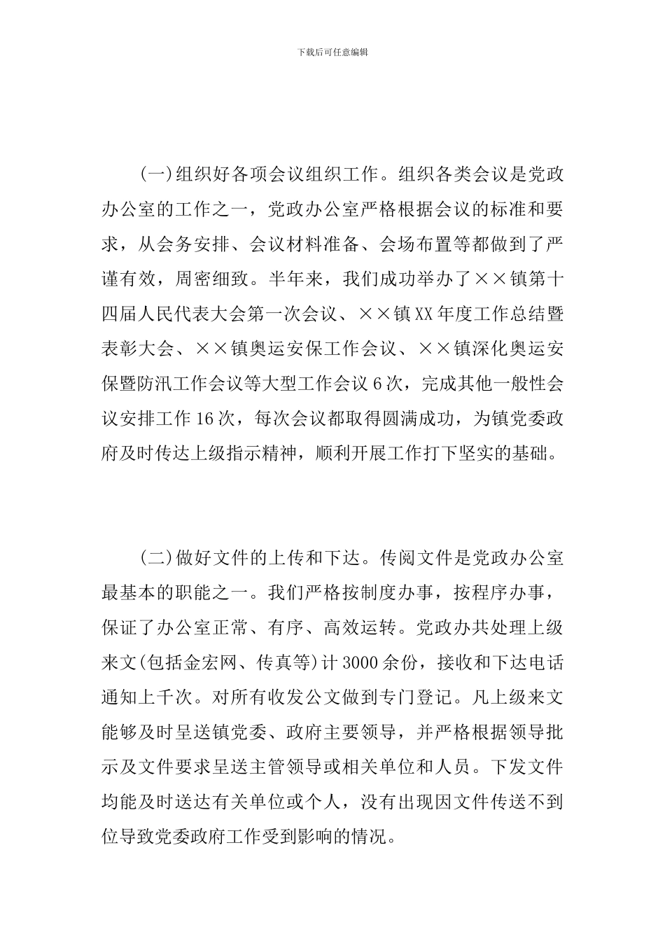 党政办个人年度工作总结_第2页