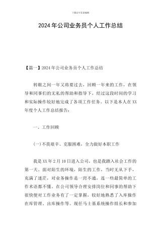 2024年公司业务员个人工作总结