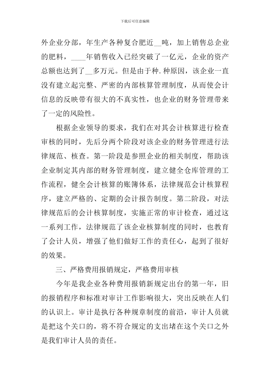 2024审计处工作总结_第2页