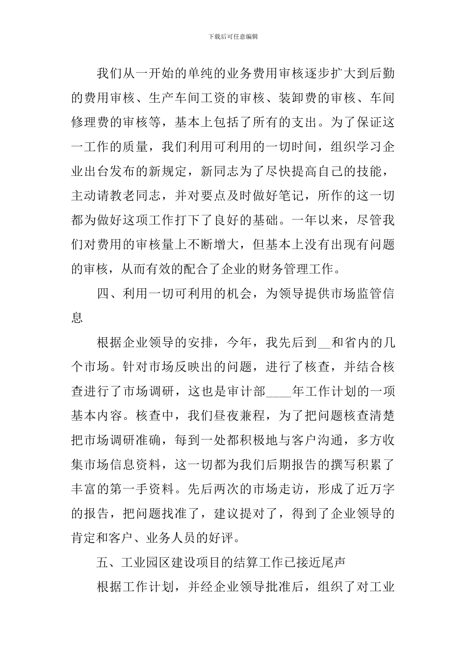 2024审计处工作总结_第3页