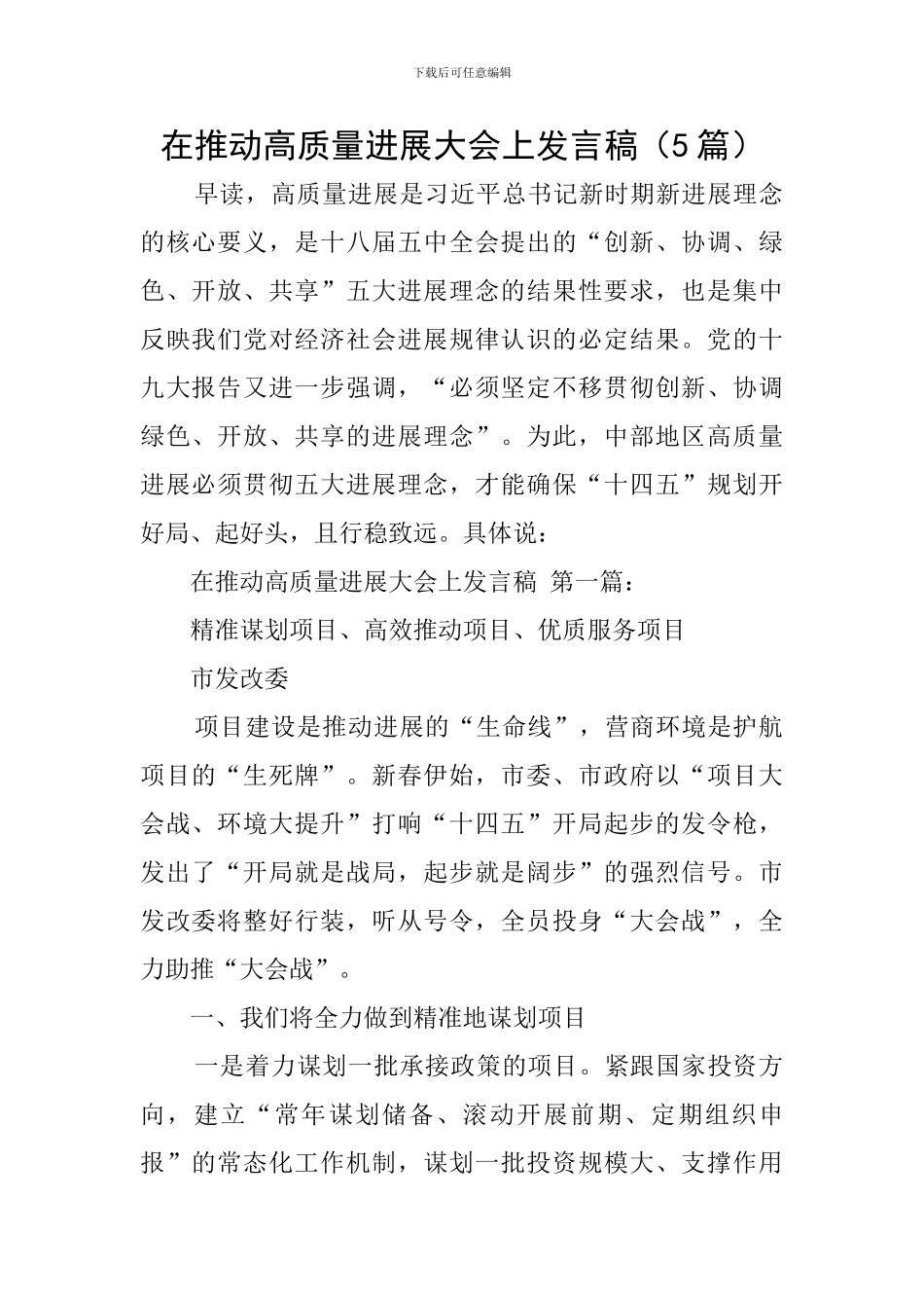 在推进高质量发展大会上发言稿_第1页