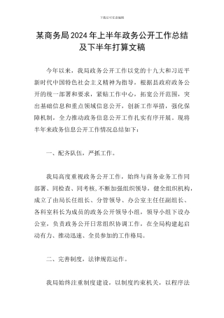 某商务局2024年上半年政务公开工作总结及下半年打算文稿