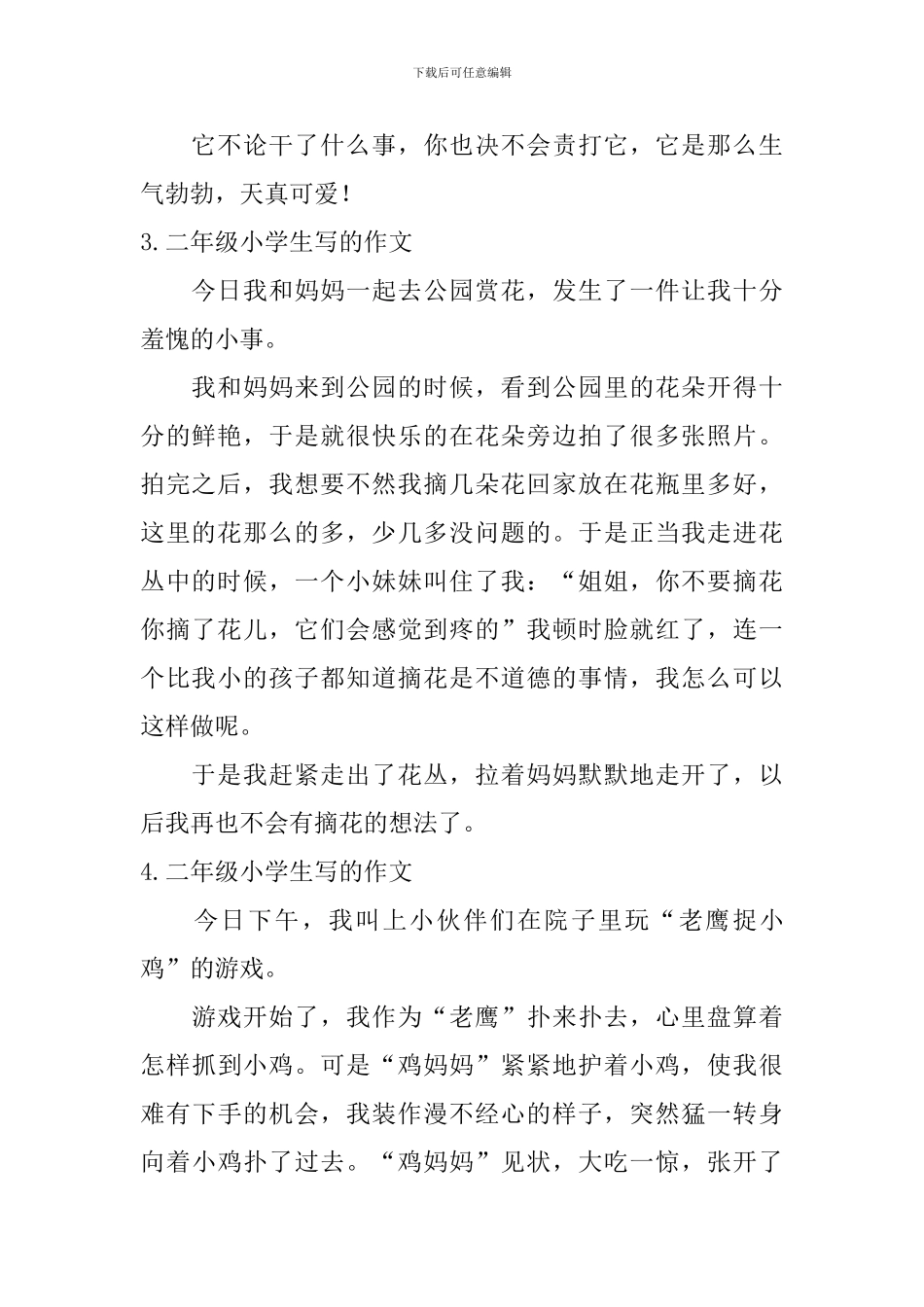 二年级小学生写的作文_第2页