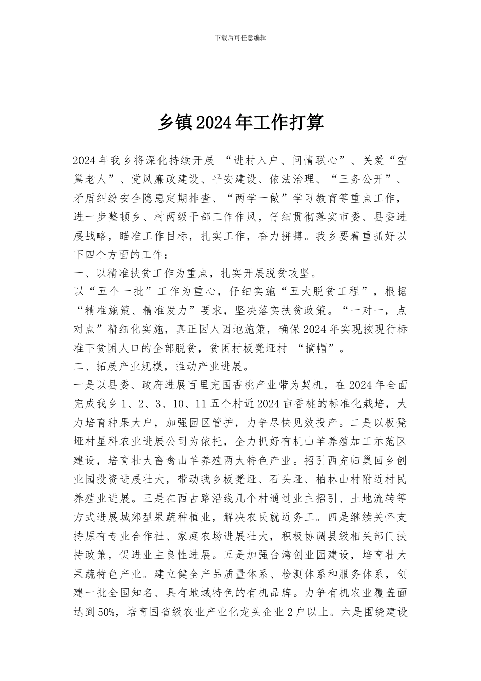 乡镇2024年工作打算_第1页