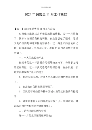 2024年销售员11月工作总结