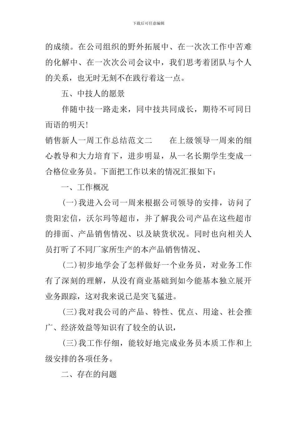 销售新人一周工作总结_第3页