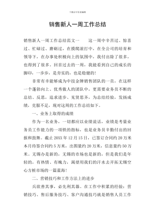 销售新人一周工作总结