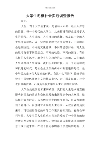 大学生毛概社会实践调查报告