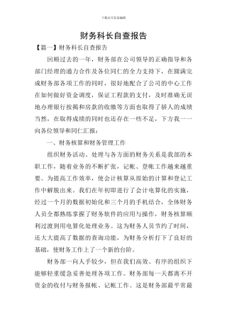 财务科长自查报告
