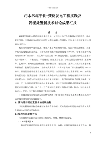 污泥干化-焚烧发电工程实践及污泥处置新技术研究成果汇报