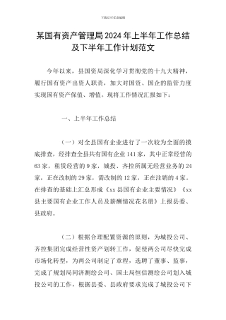 某国有资产管理局2024年上半年工作总结及下半年工作计划范文