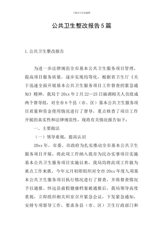 公共卫生整改报告5篇