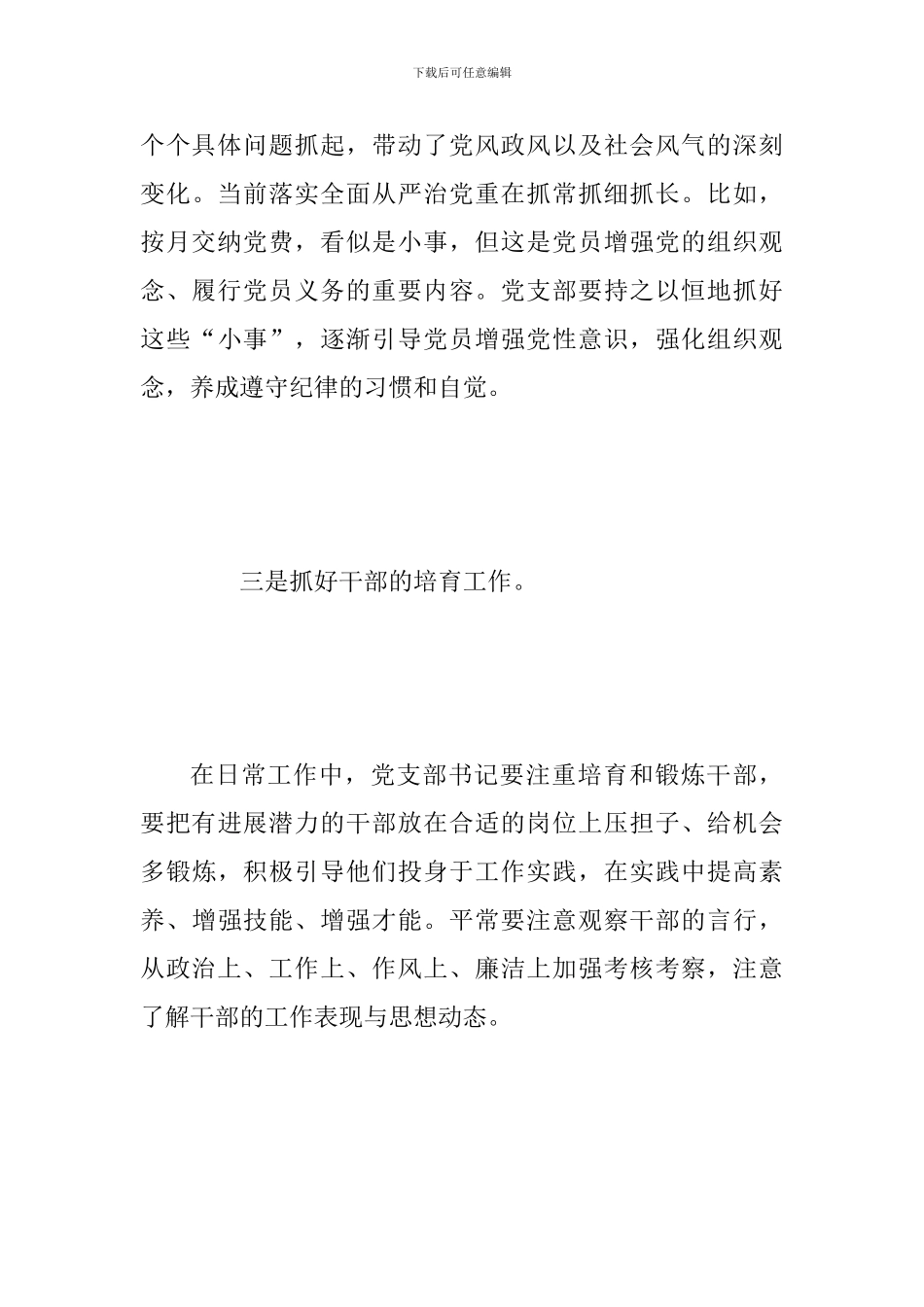 2024年全面做好六方面工作-加强党支部建设范文_第3页