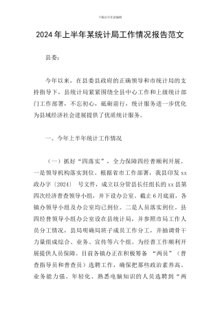 2024年上半年某统计局工作情况报告范文
