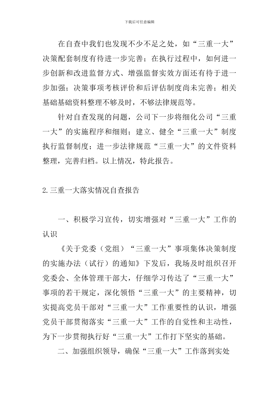 三重一大落实情况自查报告_第3页