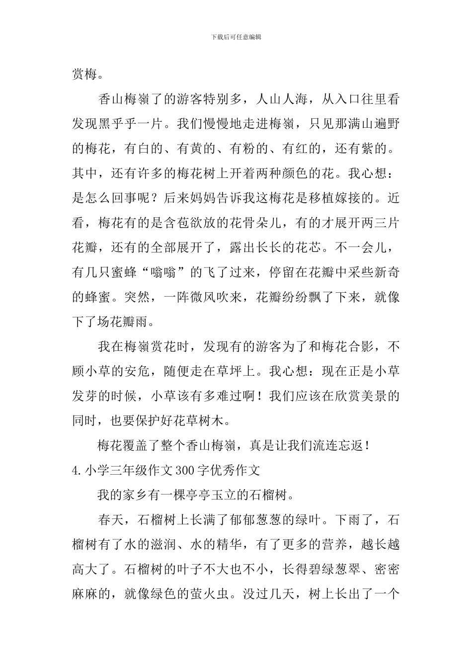 小学三年级作文300字优秀作文_第3页