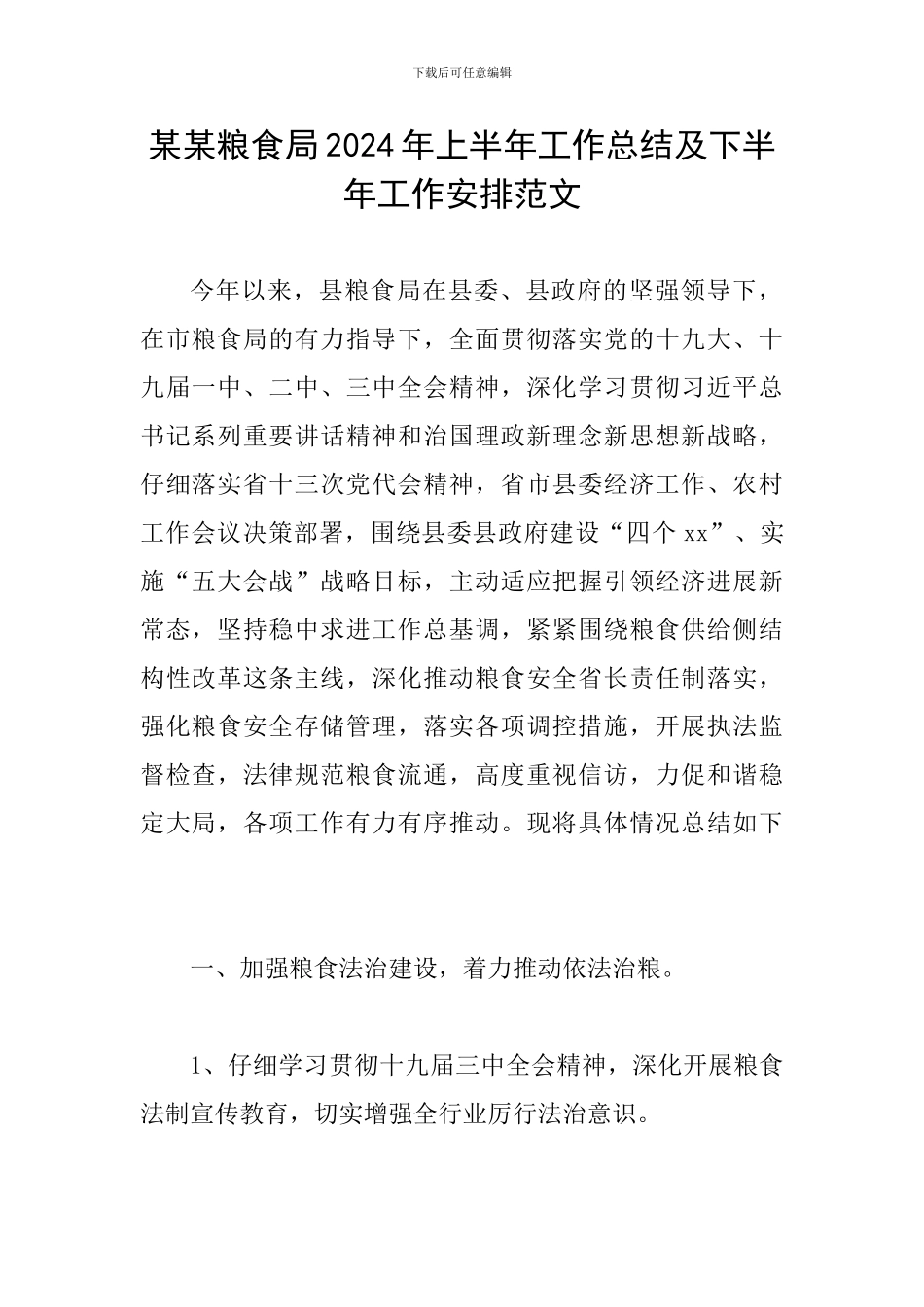 某某粮食局2024年上半年工作总结及下半年工作安排范文_第1页