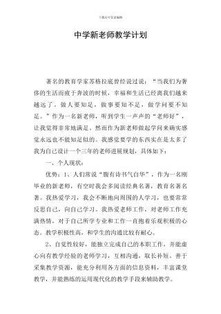 中学新教师教学计划