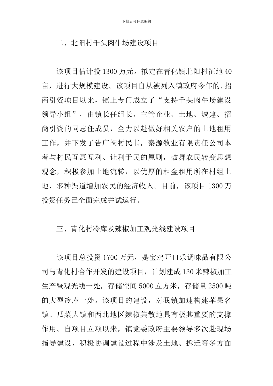招商引资年终个人总结_第2页