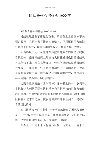 团队合作心得体会1000字