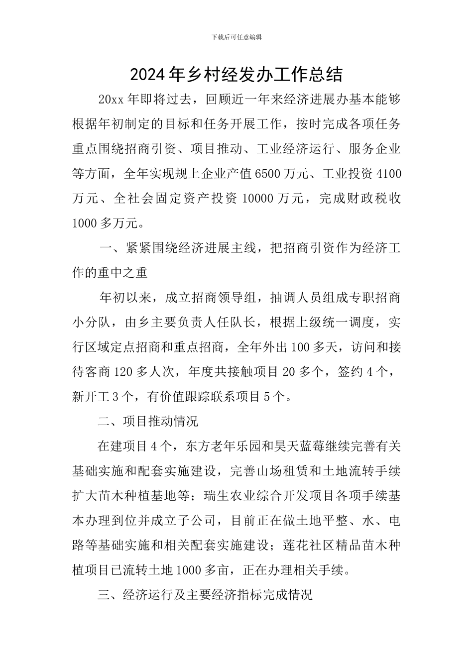 2024年乡村经发办工作总结_第1页