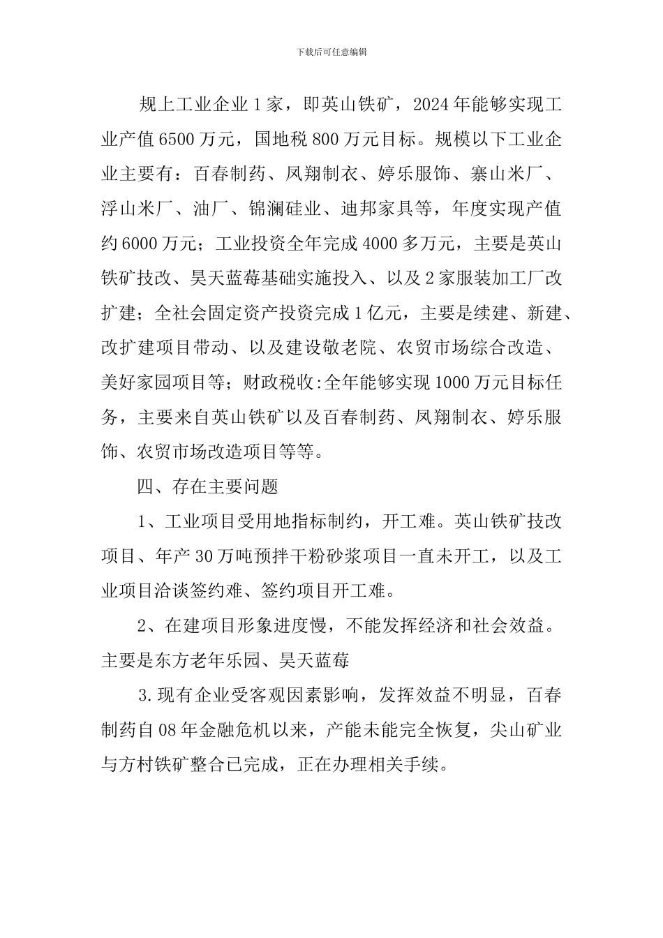 2024年乡村经发办工作总结_第2页