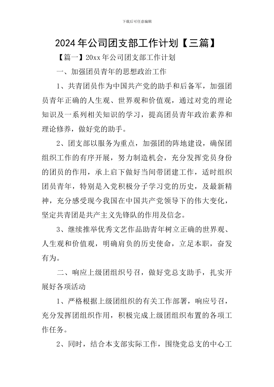 2024年公司团支部工作计划_第1页