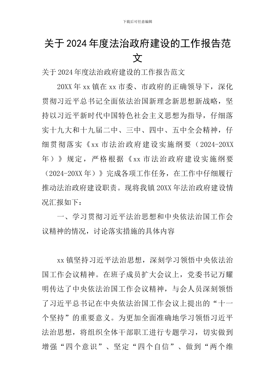 关于2024年度法治政府建设的工作报告范文_第1页
