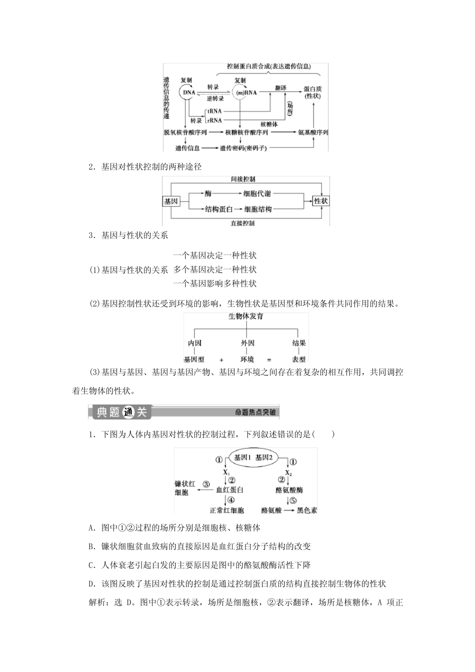 2019_2020学年新教材高中生物第4章基因的表达第2节基因表达与性状的关_第3页