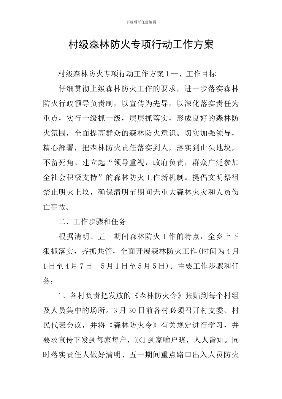村级森林防火专项行动工作方案_第1页