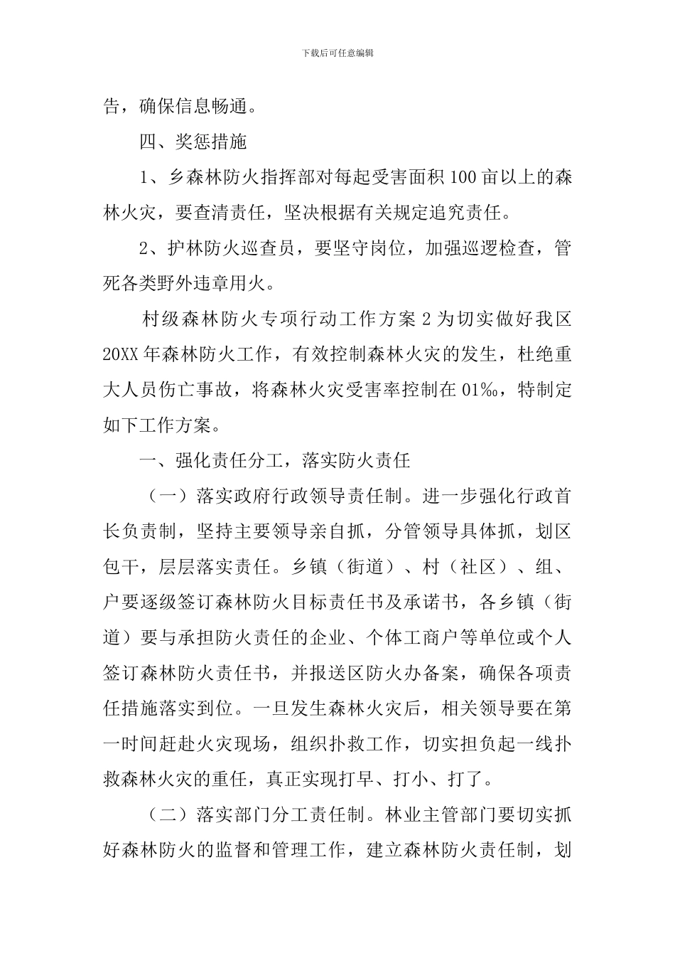 村级森林防火专项行动工作方案_第3页