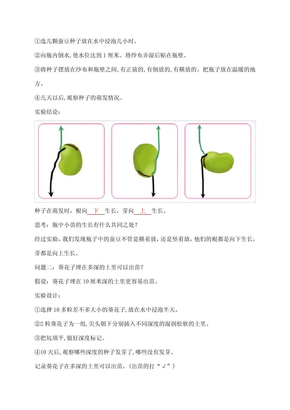 2021新苏教版四年级下册科学12.用种子繁殖 知识点整理 _第2页