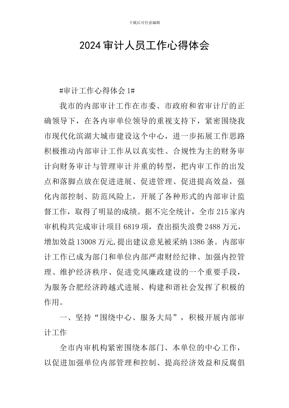 2024审计人员工作心得体会_第1页