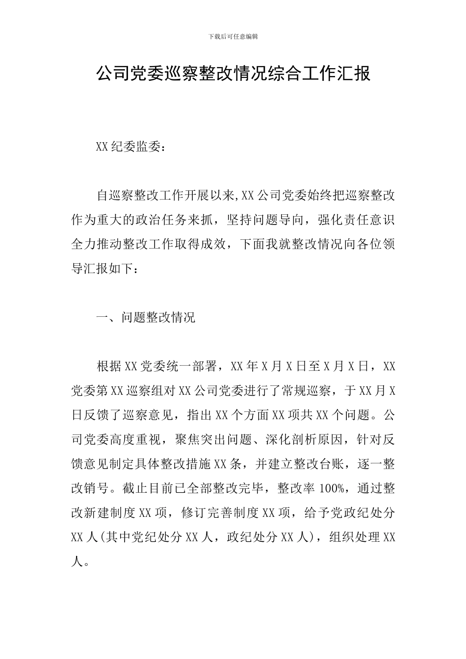 公司党委巡察整改情况综合工作汇报_第1页