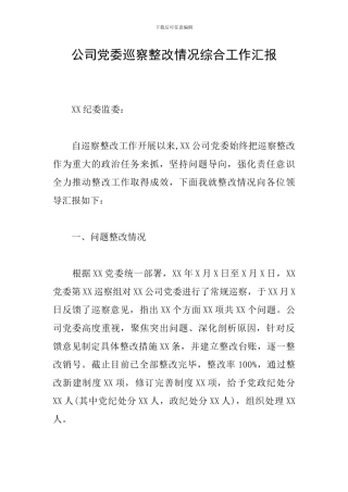 公司党委巡察整改情况综合工作汇报