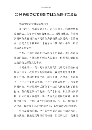 2024央视劳动节特别节目观后感作文最新