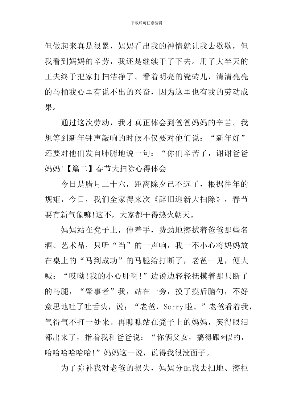 春节大扫除心得体会_第2页