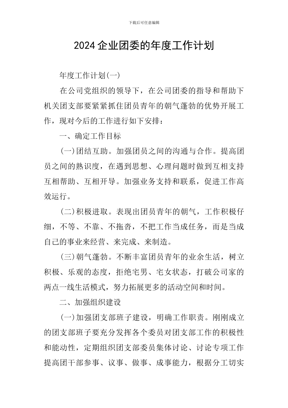 2024企业团委的年度工作计划_第1页