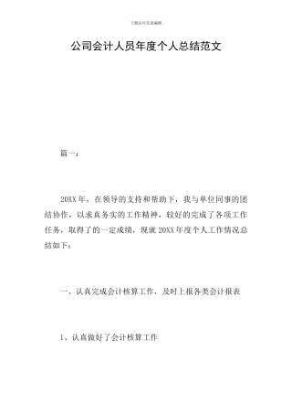 公司会计人员年度个人总结范文