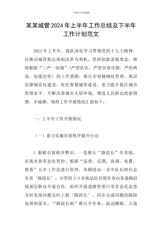 某某城管2024年上半年工作总结及下半年工作计划范文