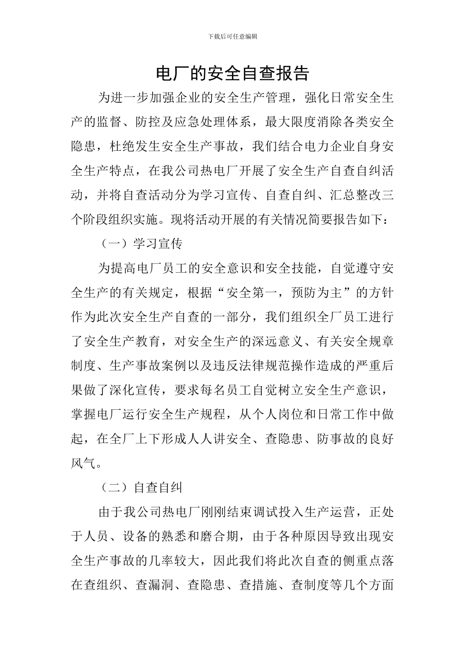 电厂的安全自查报告_第1页