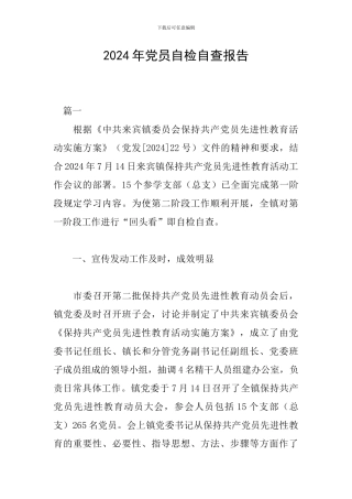 2024年党员自检自查报告